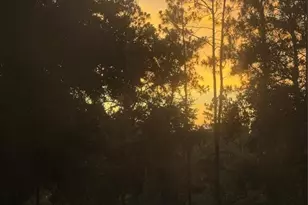 3050 E Possum Ct, Inverness, FL 34452 - Photo 52