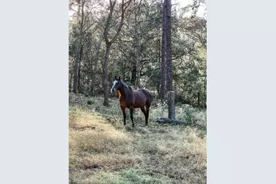 3050 E Possum Court, Inverness, FL 34452 - Photo 64