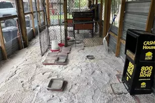 3050 E Possum Ct, Inverness, FL 34452 - Photo 72