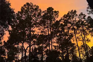 3050 E Possum Ct, Inverness, FL 34452 - Photo 68