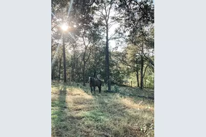 3050 E Possum Court, Inverness, FL 34452 - Photo 62