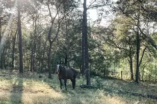 3050 E Possum Ct, Inverness, FL 34452 - Photo 62