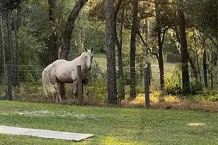 3050 E Possum Ct, Inverness, FL 34452 - Photo 60