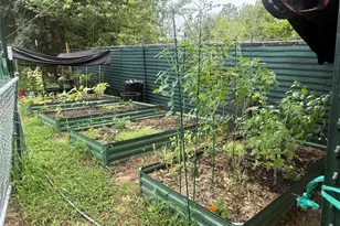 3050 E Possum Ct, Inverness, FL 34452 - Photo 50