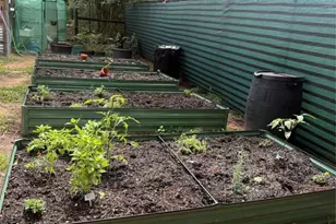 3050 E Possum Ct, Inverness, FL 34452 - Photo 70