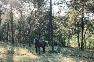 3050 E Possum Ct, Inverness, FL 34452 - Photo 62