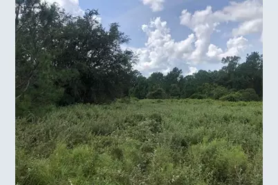 0 Old Grade Road, Polk City, FL 33868 - Photo 1