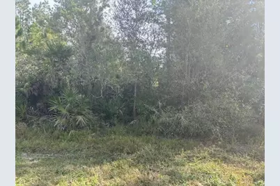 0 Old Grade Road, Polk City, FL 33868 - Photo 2