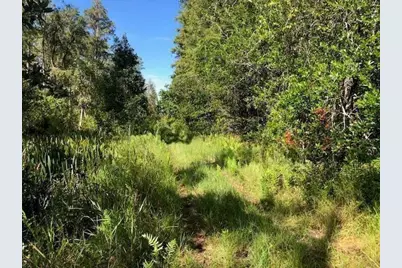 0 Old Grade Road, Polk City, FL 33868 - Photo 1