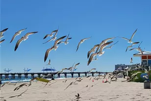 1009 N Ocean Blvd, Pompano Beach, FL 33062 - Photo 38