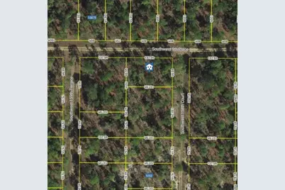Lot1 SW Lot1 158th Court, Ocala, FL 34481 - Photo 2
