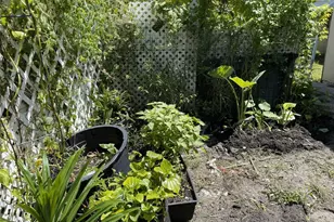 671 NW 38th St, Deerfield Beach, FL 33064 - Photo 46