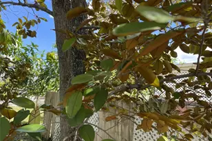 671 NW 38th St, Deerfield Beach, FL 33064 - Photo 40