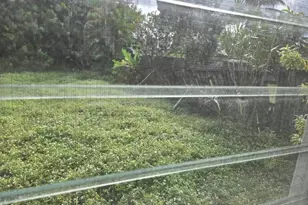 2702 Hayes St, Hollywood, FL 33020 - Photo 18