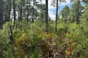 0 Hwy 630 E, Frostproof, FL 33843 - Photo 1