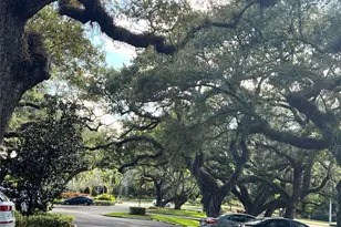 9101 SW 19th Pl, Davie, FL 33324 - Photo 54