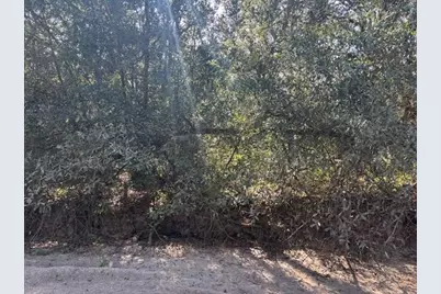 0 County Rd 54, Kathleen, FL 33849 - Photo 4