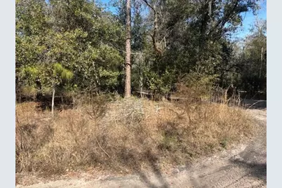 0 County Rd 54, Kathleen, FL 33849 - Photo 2