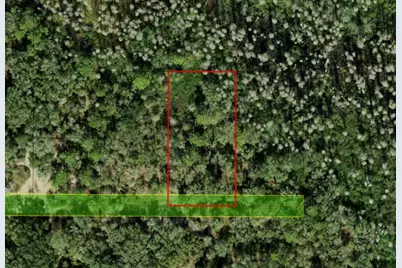 0 County Rd 54, Kathleen, FL 33849 - Photo 4
