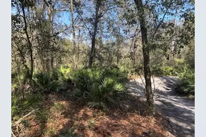 0 County Rd 54, Kathleen, FL 33849 - Photo 1