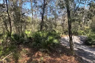 0 Co Rd 54, Kathleen, FL 33849 - Photo 1