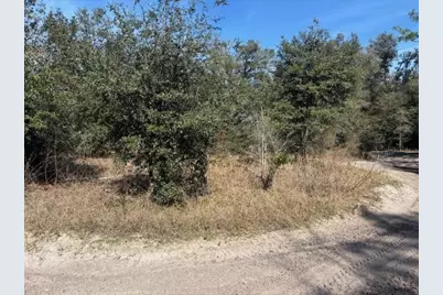 0 County Rd 54, Kathleen, FL 33849 - Photo 2
