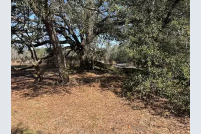 0 County Rd 54, Kathleen, FL 33849 - Photo 1
