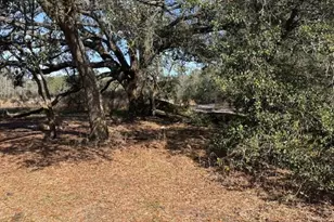 0 Co Rd 54, Kathleen, FL 33849 - Photo 1