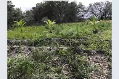 16120 NW 300th Street, Okeechobee, FL 34972 - Photo 6