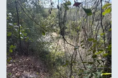 0 County Rd 54, Kathleen, FL 33849 - Photo 2