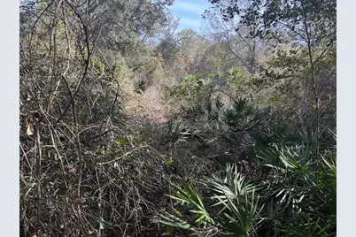 0 County Rd 54, Kathleen, FL 33849 - Photo 1