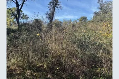 0 County Rd 54, Kathleen, FL 33849 - Photo 1