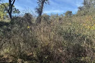 0 Co Rd 54, Kathleen, FL 33849 - Photo 1