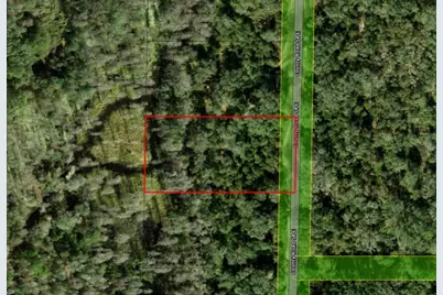 0 County Rd 54, Kathleen, FL 33849 - Photo 4