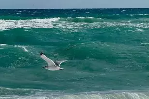 722 Ocean Dunes Cir, Jupiter, FL 33477 - Photo 22