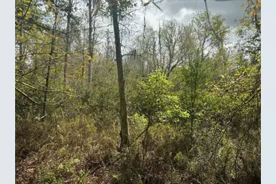 0 County Rd 54, Kathleen, FL 33849 - Photo 2