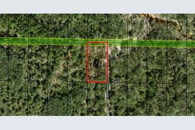 0 County Rd 54, Kathleen, FL 33849 - Photo 2