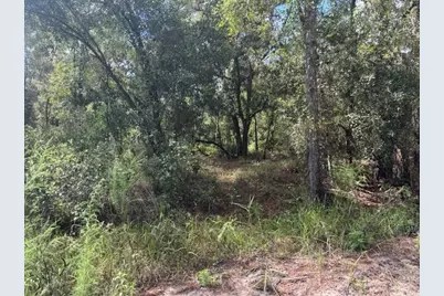 0 County Rd 54, Kathleen, FL 33849 - Photo 2
