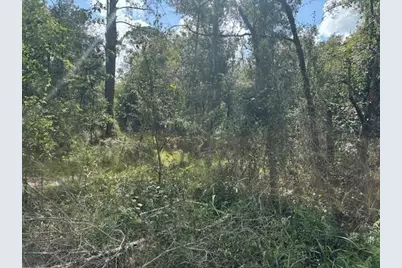 0 County Rd 54, Kathleen, FL 33849 - Photo 2