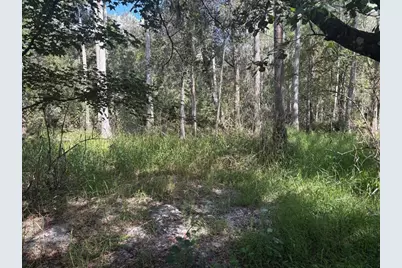 0 County Rd 54, Kathleen, FL 33849 - Photo 2