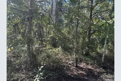 0 County Rd 54, Kathleen, FL 33849 - Photo 2