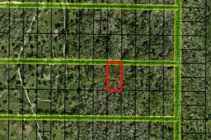 0 Co Rd 54, Kathleen, FL 33849 - Photo 1