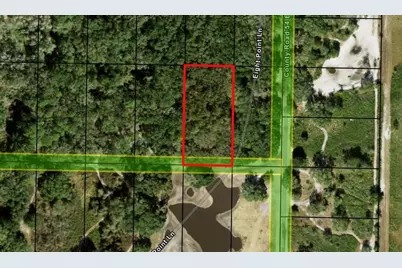 0 County Rd 54, Kathleen, FL 33849 - Photo 1