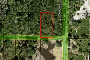 0 Co Rd 54, Kathleen, FL 33849 - Photo 1