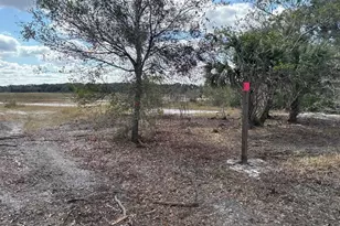 0 298th St, Okeechobee, FL 34972 - Photo 1