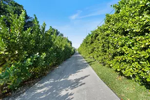 5702 SW 136th Ave, Southwest Ranches, FL 33330 - Photo 2