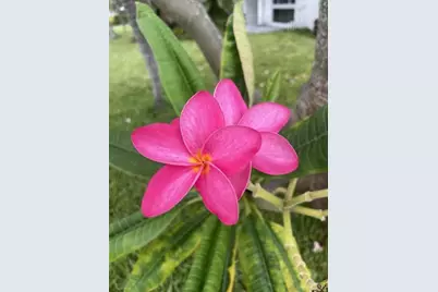 2611 NE 20th Street, Pompano Beach, FL 33062 - Photo 32