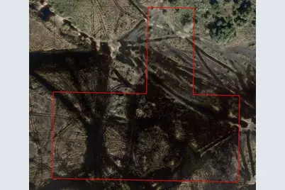 0 NW 290th Street, Okeechobee, FL 34972 - Photo 2