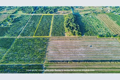 2205 Hicks Road, Lorida, FL 33857 - Photo 1