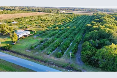 2205 Hicks Road, Lorida, FL 33857 - Photo 8